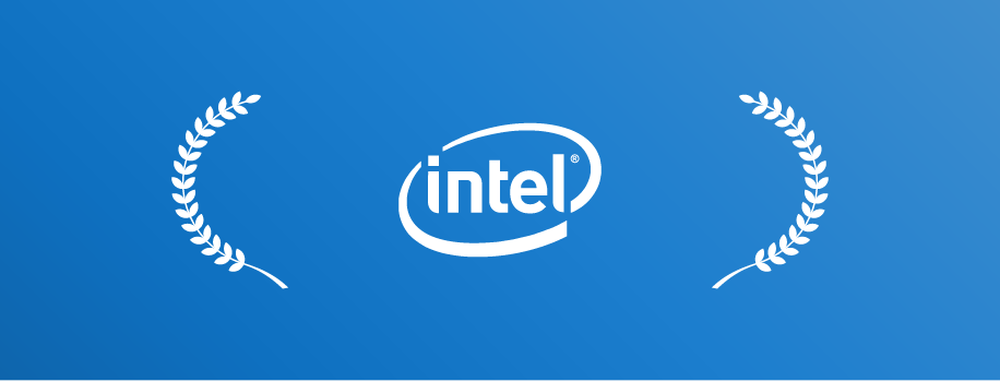 Intel Partner of the Year